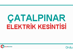 catalpinar