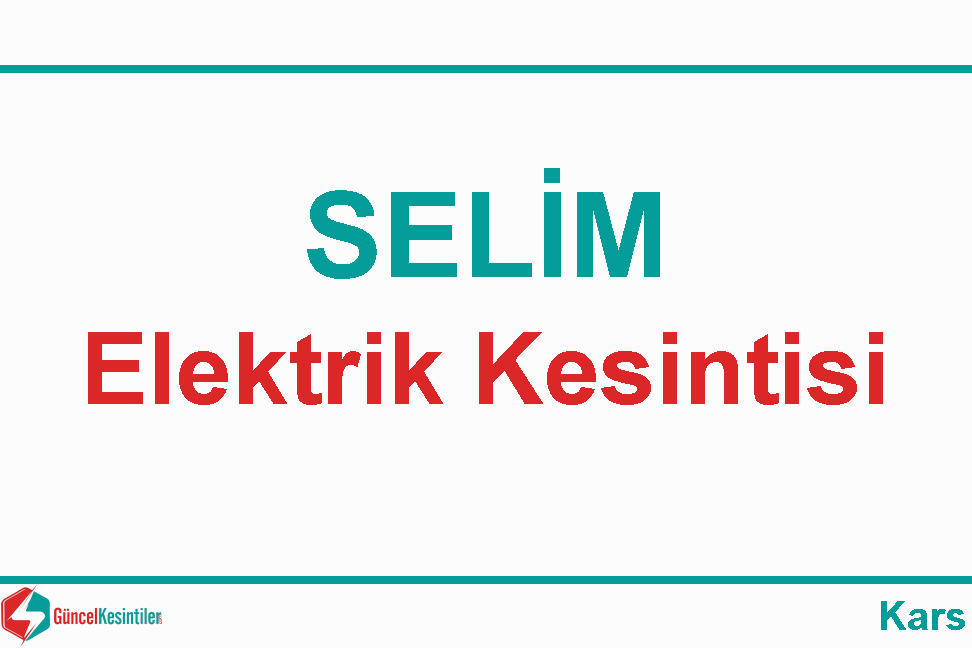 23 Mart - Cumartesi : Selim, Kars Elektrik Arıza Detayı