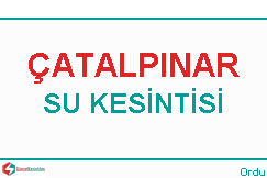 catalpinar