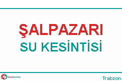 salpazari